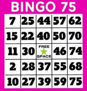 75 Ball Bingo